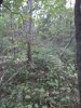 IMG_20170817_183404.jpg