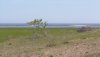 DSC01303.JPG