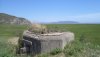 DSC01310.JPG