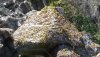 DSC01343.JPG