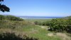 DSC01355.JPG