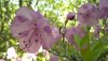 DSC01366.JPG