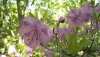 DSC01367.JPG
