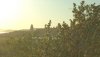 DSC01391.JPG