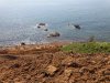 20180531_154218.jpg