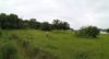 PANO_20190711_170734.jpg