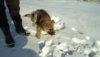 DSC01604.JPG