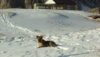 DSC01619.JPG