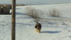 DSC01620.JPG