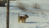 DSC01621.JPG