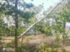 IMG_20200904_120236.jpg