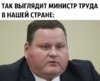 кот.jpg