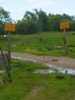 IMG_20210605_095456 (2).jpg