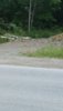 IMG_20210706_124020.jpg
