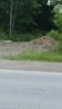 IMG_20210706_124022.jpg