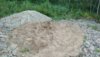 IMG_20210726_200106.jpg