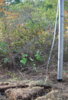 DSC_2961.JPG